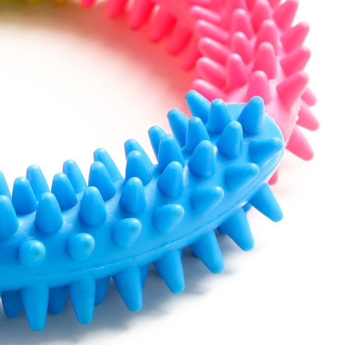 Игрушка жевательная для собак «Кусочек счастья», 12 см, разноцветная