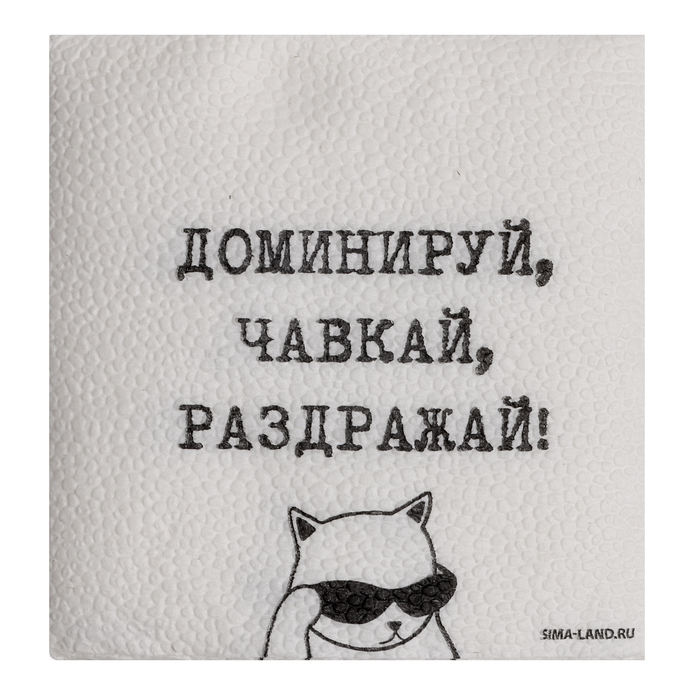 Салфетки бумажные однослойные «Доминируй, чавкай, раздражай», 24×24 см, набор 20 шт.