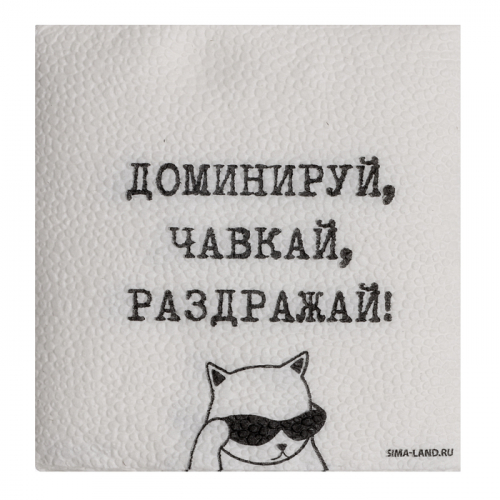 Салфетки бумажные однослойные «Доминируй, чавкай, раздражай», 24×24 см, набор 20 шт.