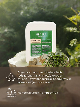 Hedera Professional Шампунь для окрашенных волос / Service Line, 5000 мл