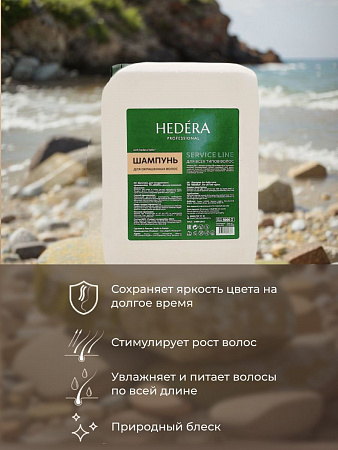 Hedera Professional Шампунь для окрашенных волос / Service Line, 5000 мл