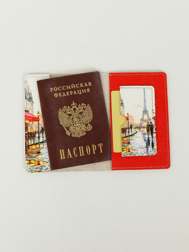 Обложка для паспорта VITA2