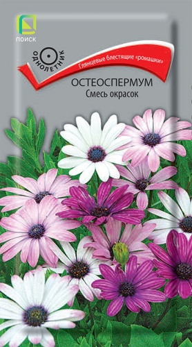 Цветы Остеоспермум Смесь 0,1 г ц/п Поиск (однол.)