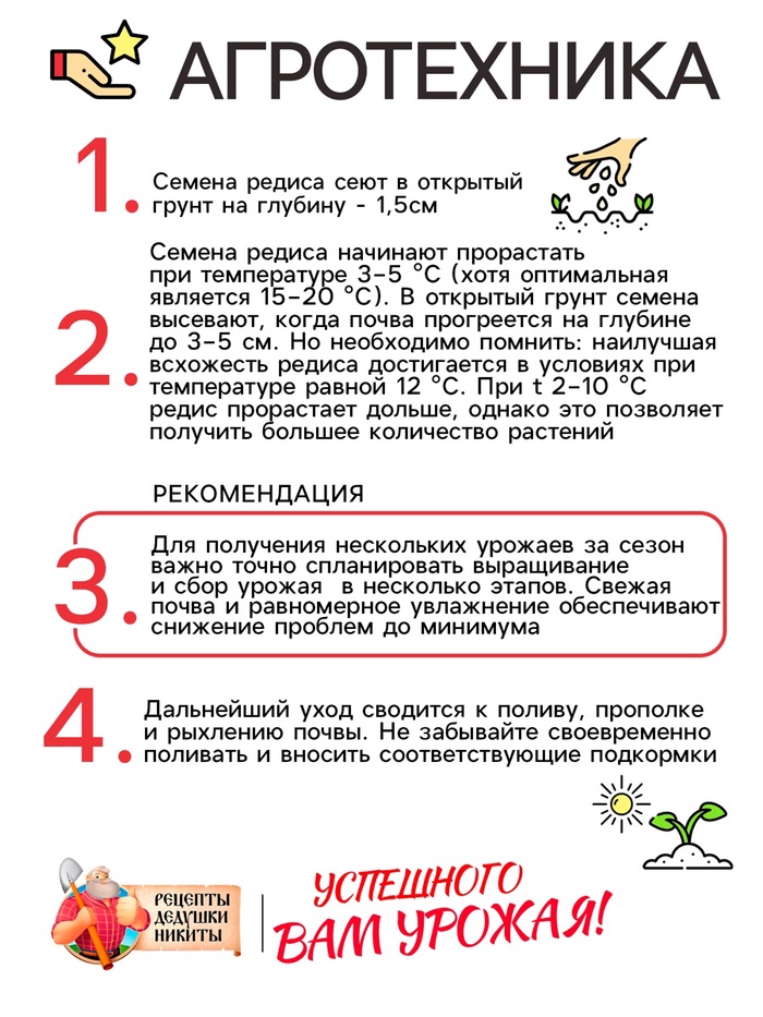 Семена Редис