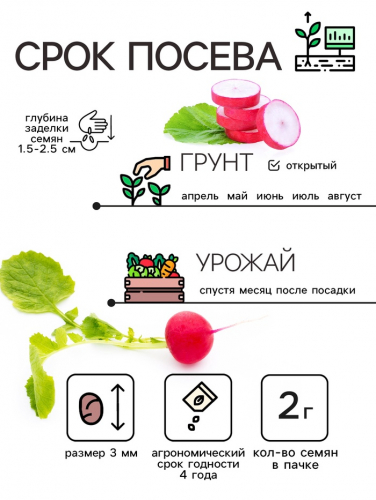 Семена Редис 