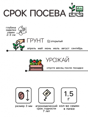 Семена Редис 