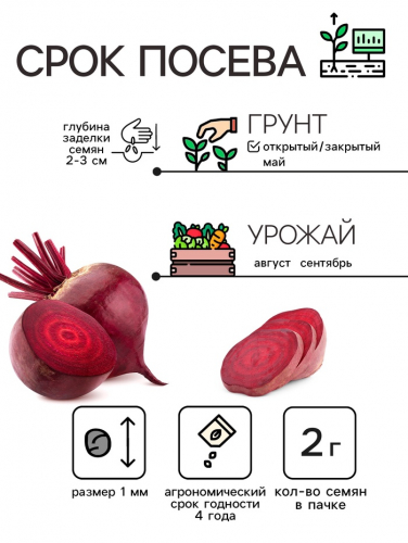 Семена Свёкла 
