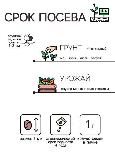 Семена Редис 