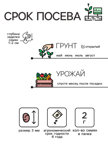 Семена Редис 
