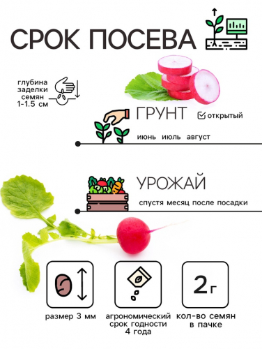 Семена Редис 