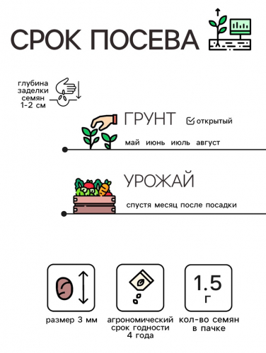 Семена Редис 