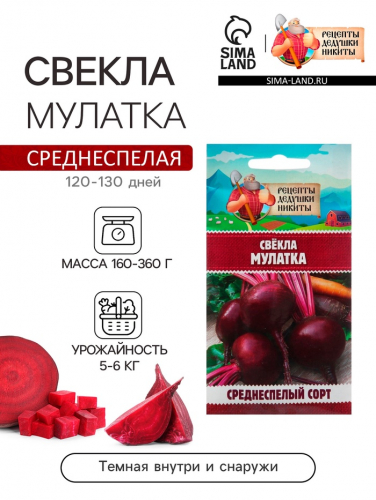 Семена Свёкла 