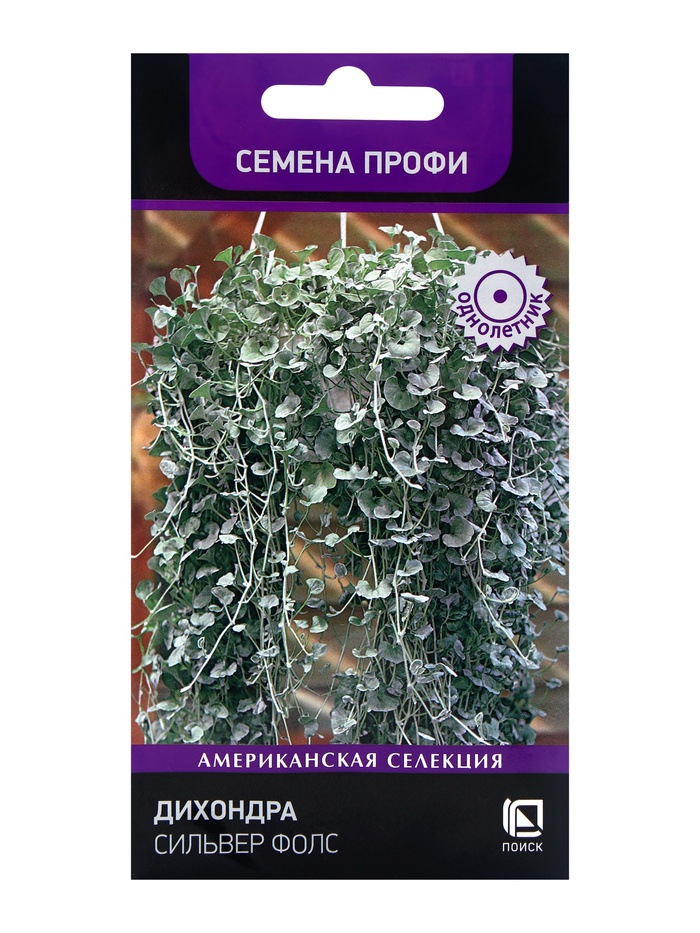 Семена цветов Дихондра Сильвер Фолс, 5шт
