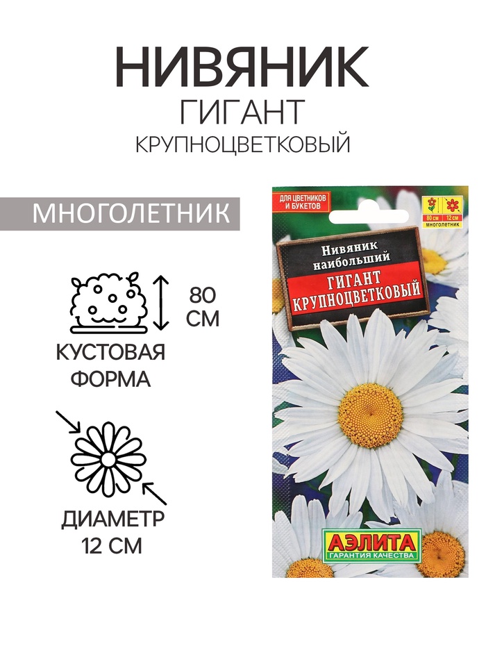 Семена цветов Нивяник