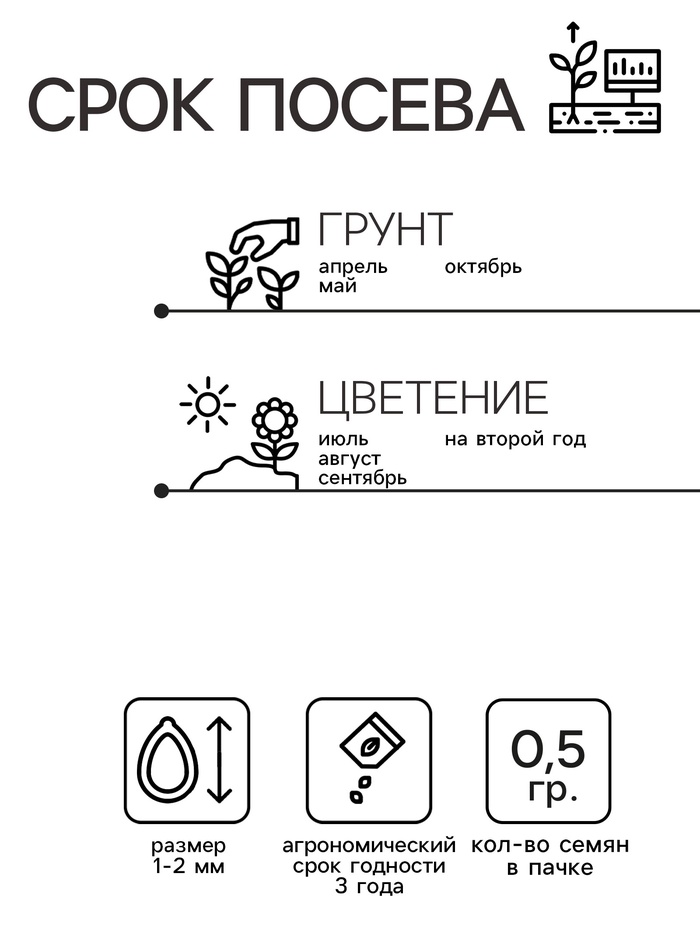 Семена цветов Нивяник