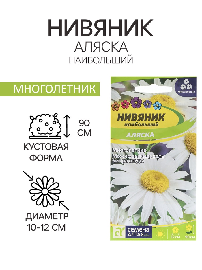 Семена цветов Нивяник