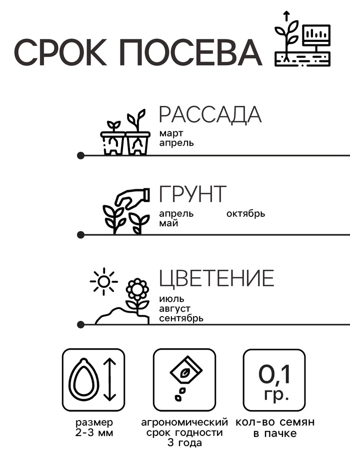 Семена цветов Нивяник