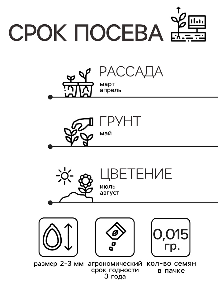 Семена цветов Монарда