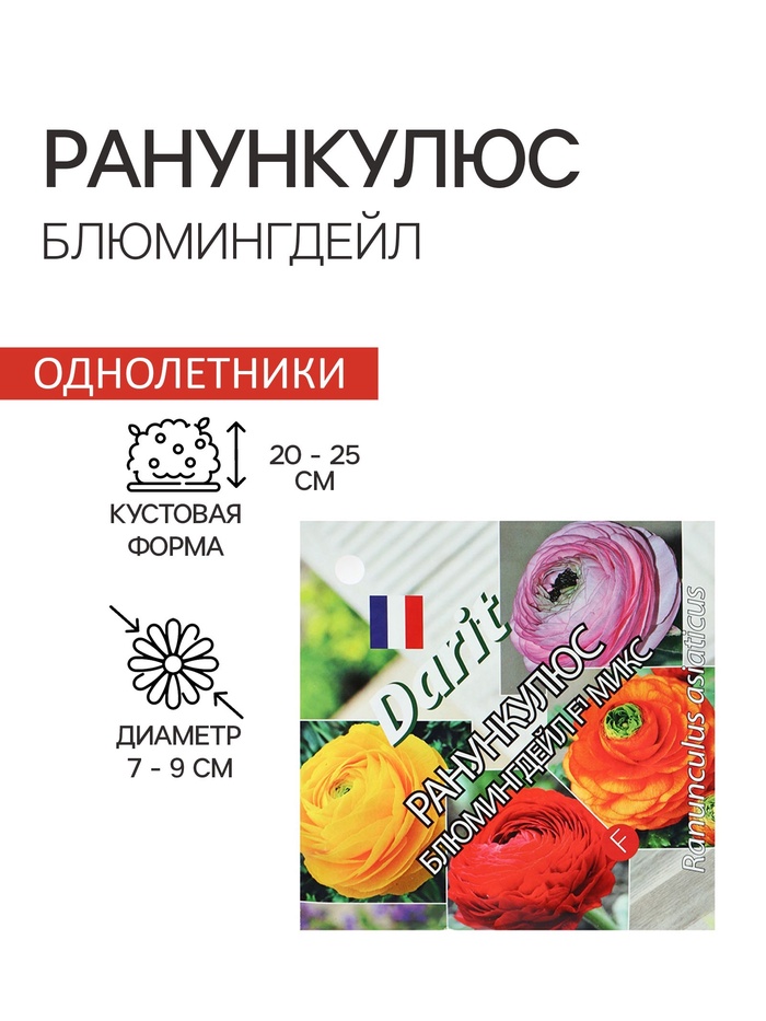 Семена цветов Ранункулюс