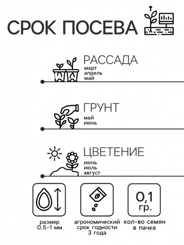 Семена цветов Незабудка 