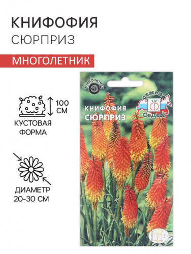 Семена цветов Книфофия 