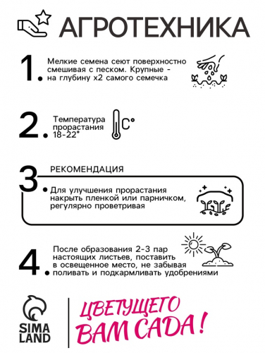 Семена цветов Нивяник 