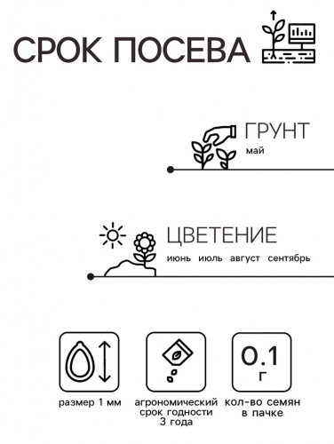 Семена Амарант Хвостатый зеленый 0.1г*