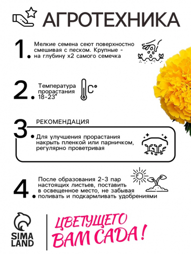 Семена цветов Бархатцы прямостоячие «Лимонное чудо», 0.3 г