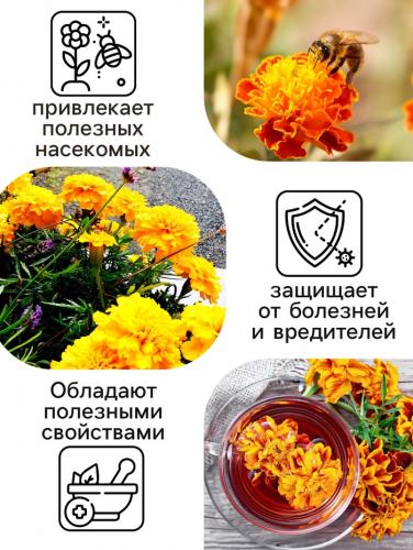 Семена цветов Бархатцы прямостоячие «Лимонное чудо», 0.3 г