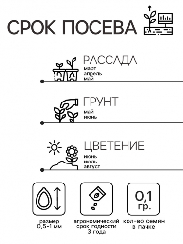 Семена цветов Незабудка 