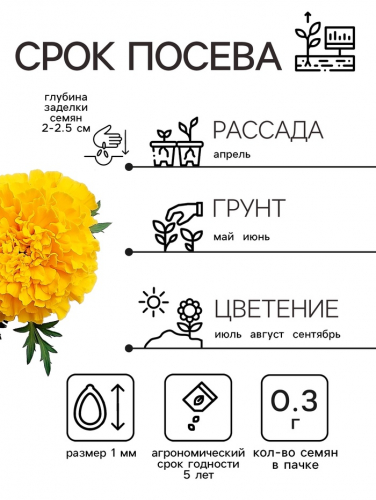 Семена цветов Бархатцы прямостоячие «Лимонное чудо», 0.3 г