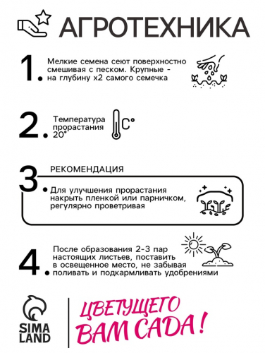 Семена цветов Незабудка 
