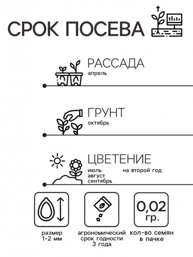 Семена цветов Нивяник 