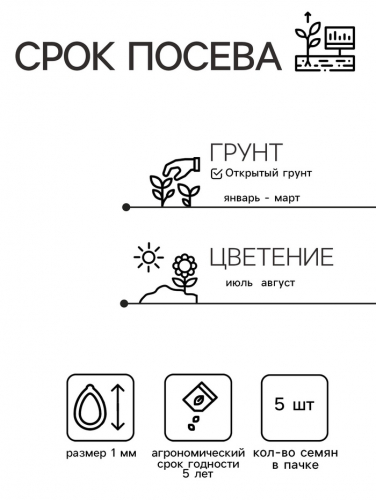 Семена цветов Ранункулюс 