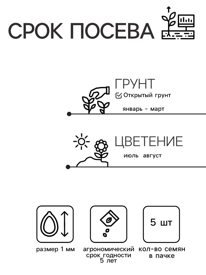 Семена цветов Ранункулюс
