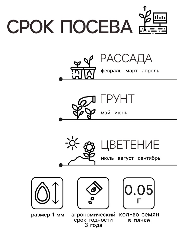 Семена цветов Алиссум