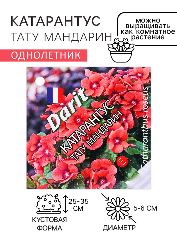 Семена цветов Катарантус