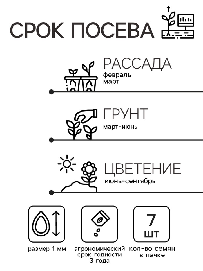 Семена цветов Катарантус