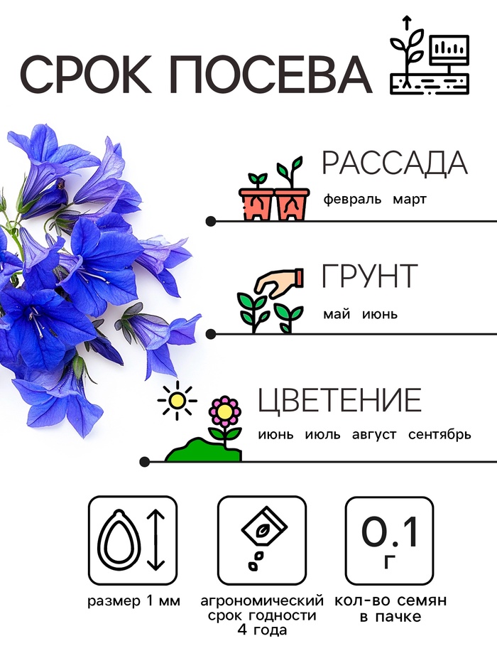 Семена цветов Лобелия
