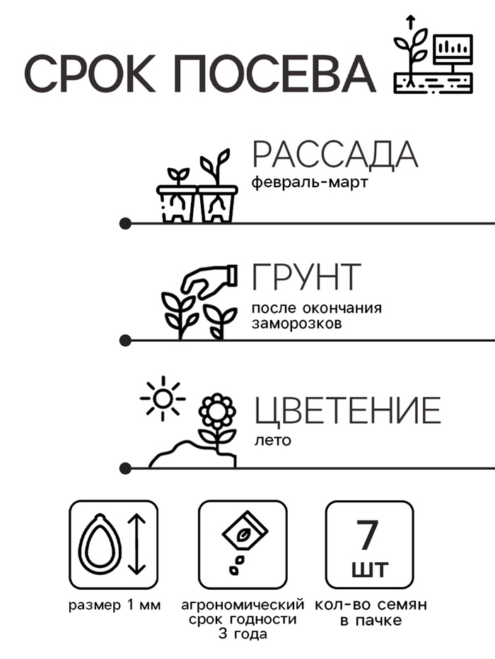 Семена цветов Катарантус