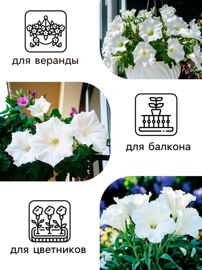 Семена Петуния Афродита F1 белая крупноцветковая, 7 шт
