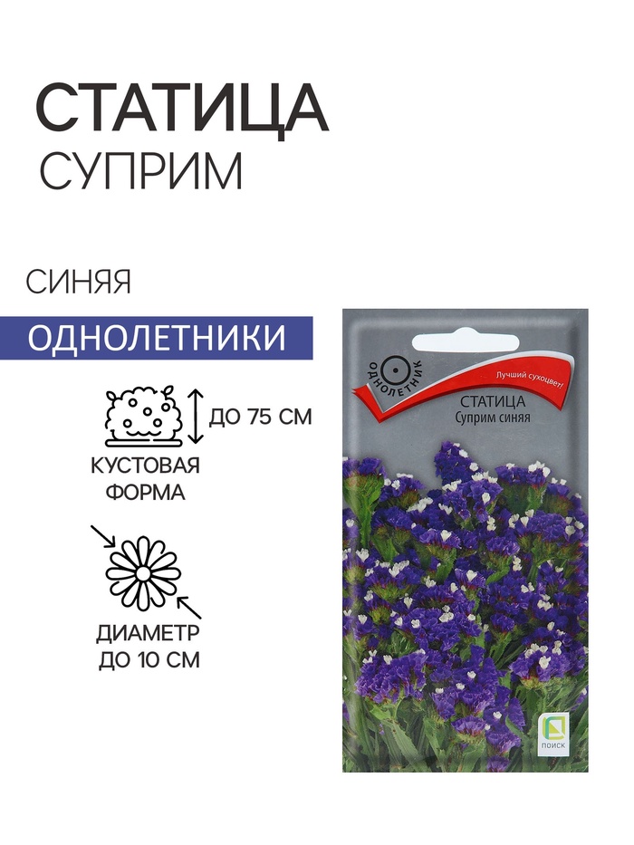 Семена цветов Статица