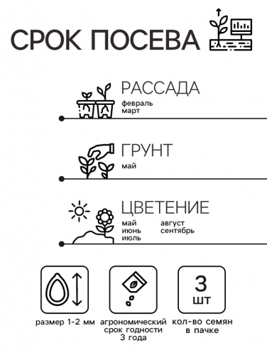 Семена цветов Пентас 