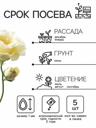 Семена  Эустома 
