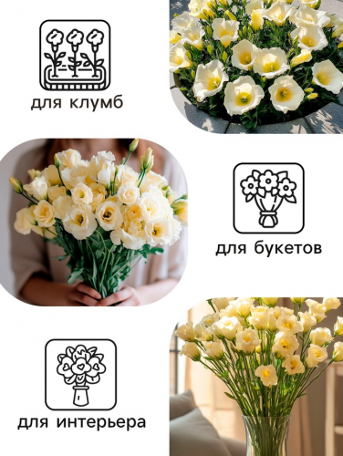 Семена  Эустома 
