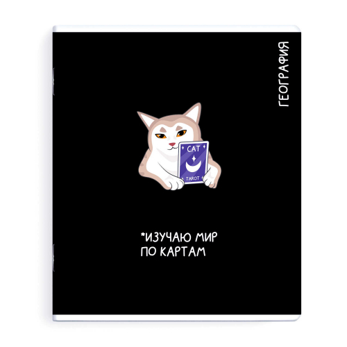 Тетрадь предметная арт. 69825/ ГЕОГРАФИЯ /48 л., А5+, вн.блок - клетка, выборочный ТВИН УФ-лак,