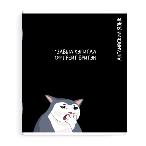 Тетрадь предметная арт. 69828/ АНГЛИЙСКИЙ ЯЗЫК /48 л., А5+, вн.блок - клетка, выборочный ТВИН УФ-лак,