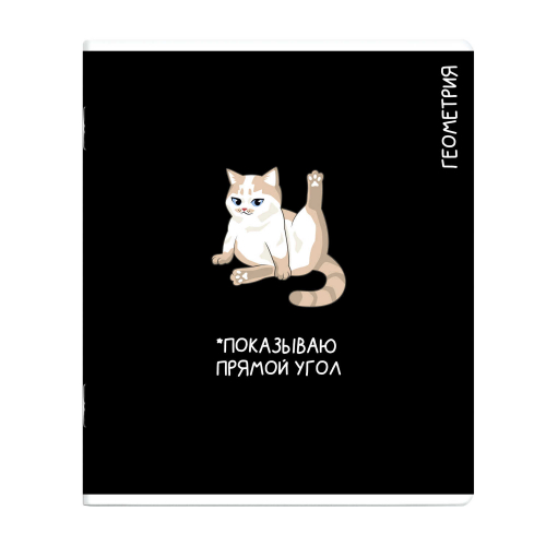 Тетрадь предметная арт. 69821/ ГЕОМЕТРИЯ /48 л., А5+, вн.блок - клетка, выборочный ТВИН УФ-лак,