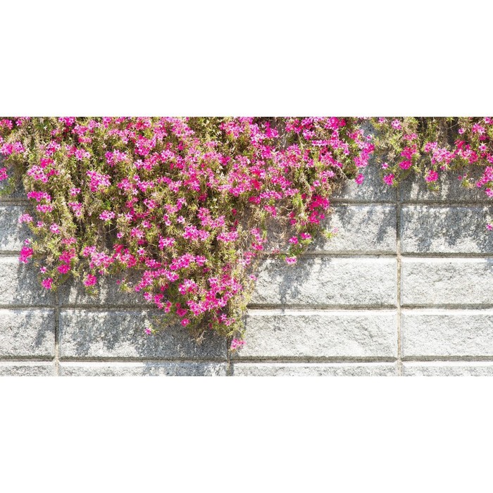 Фотобаннер, 250 × 150 см, с фотопечатью, люверсы шаг 1 м, «Стена с цветами», Greengo
