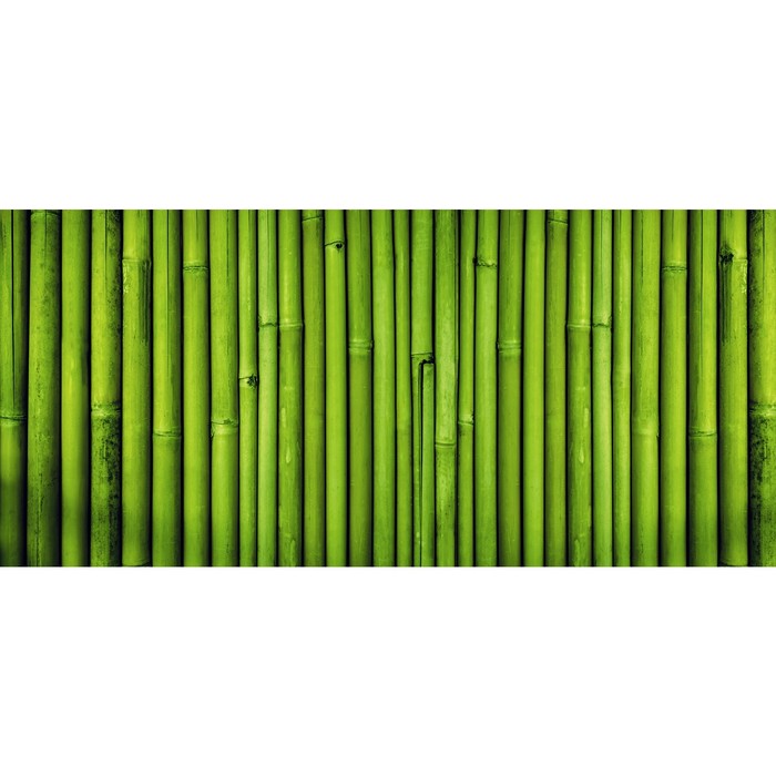 Фотобаннер, 250 × 200 см, с фотопечатью, люверсы шаг 1 м, «Бамбук», Greengo